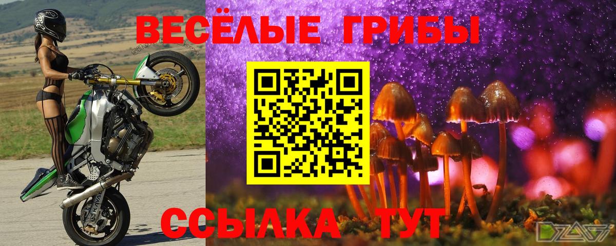 Псилоцибиновые грибы ЛСД  Вход с VPN  Владивосток 