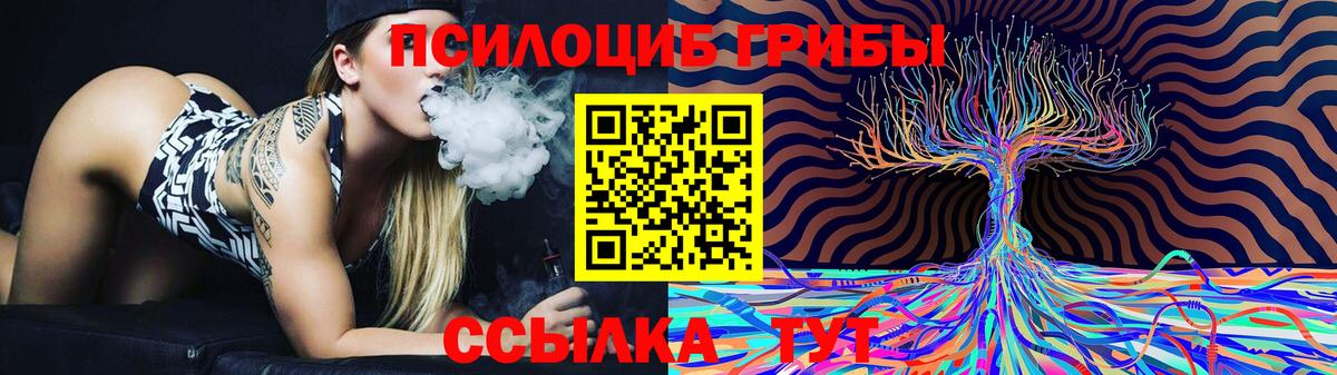 Псилоцибиновые грибы Magic Shrooms Владивосток